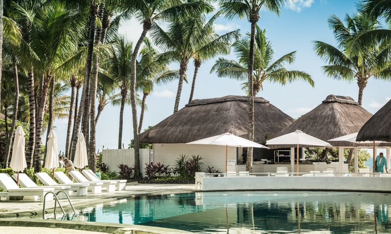 Hotel and resort pool with palm trees
