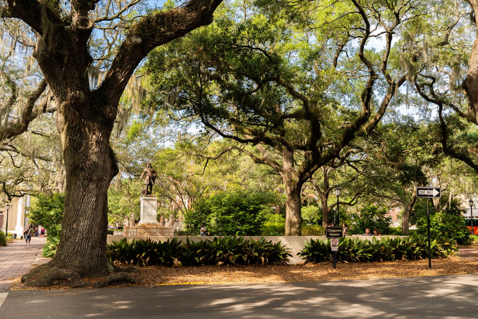 Chippewa Square in Savannah's historic district with live oaks